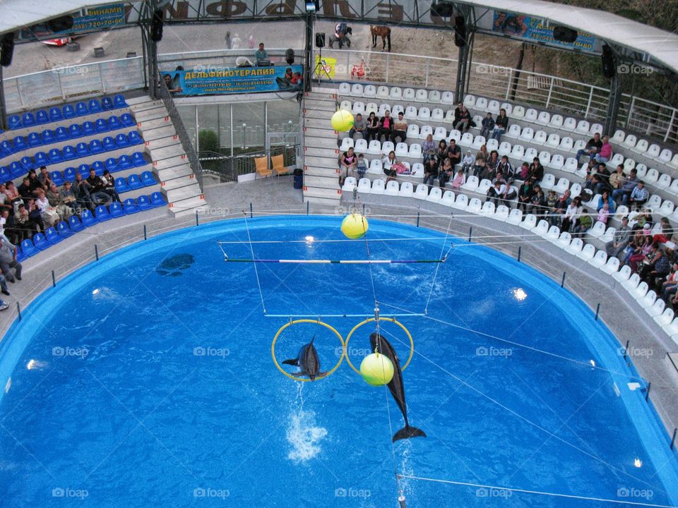 Dolphinarium Odessa дельфинарий Одесса