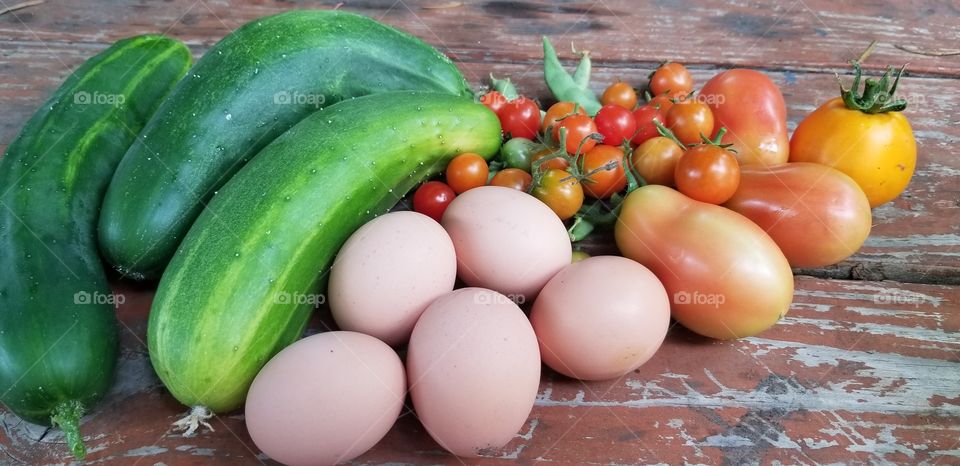 homesteading with a garden and chickens