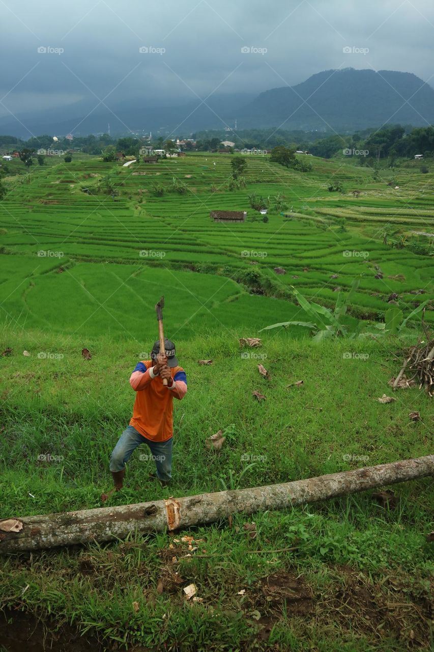 Wood cutter in the village