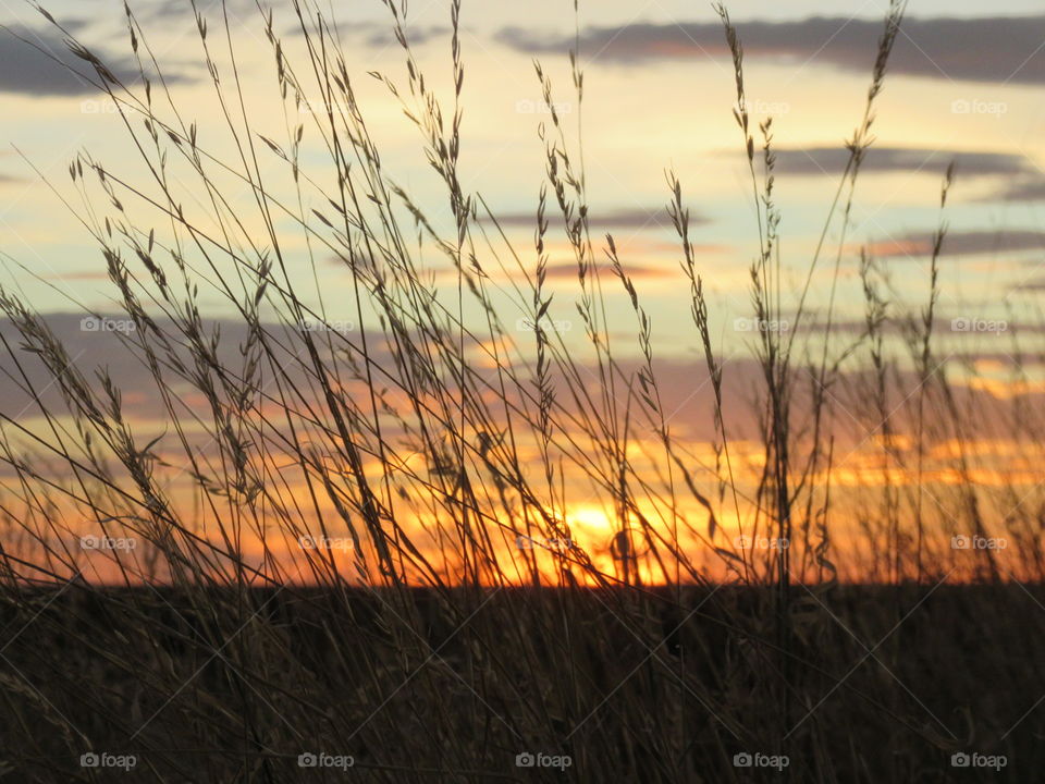 Watching the sun set in a multitude of colors, while sitting in the grass and enjoying the field around you.