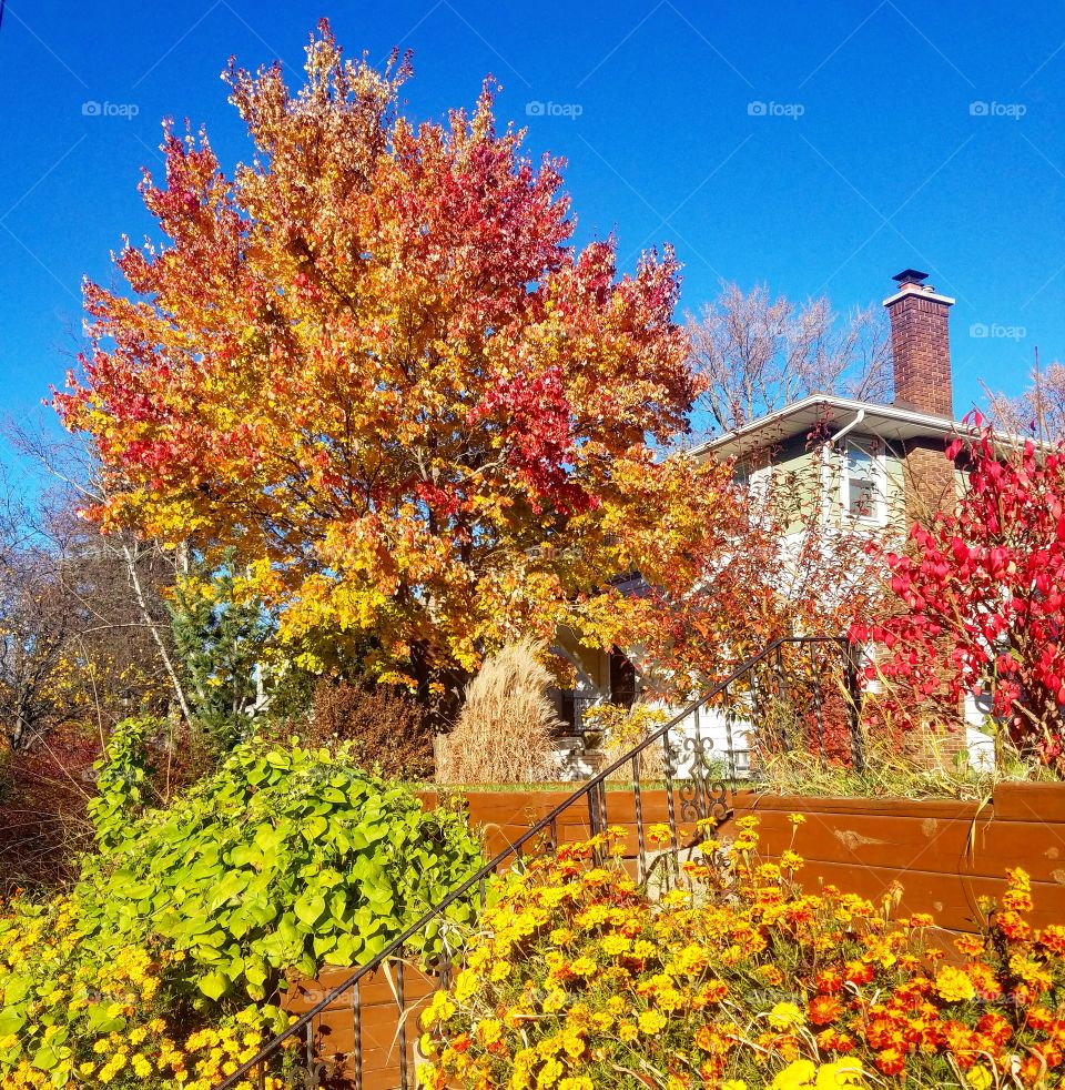 Minnesota Colors of Fall