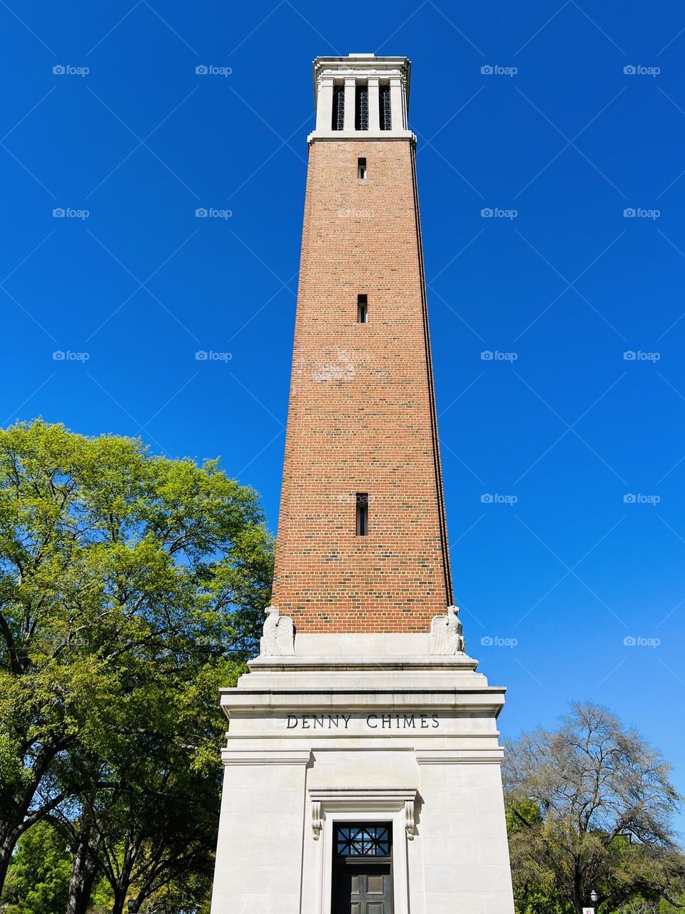 Denny Chimes, a historic bell tower stands against a bright blue sky on the American campus of the University of Alabama 