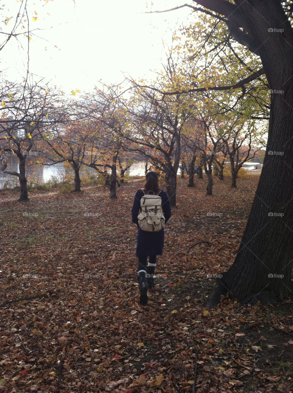 girl tree forest lake by stellamarieg