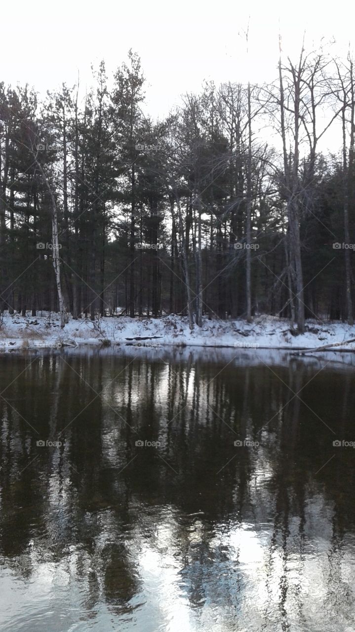 Northern Michigan 