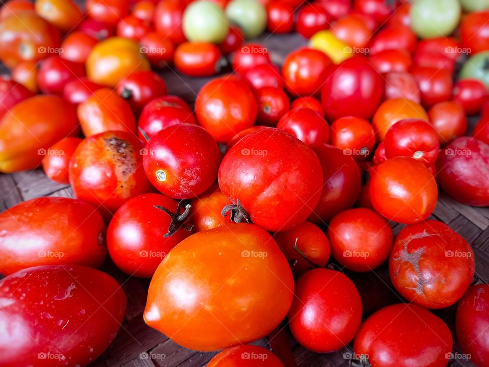 Collection of tomatoes.