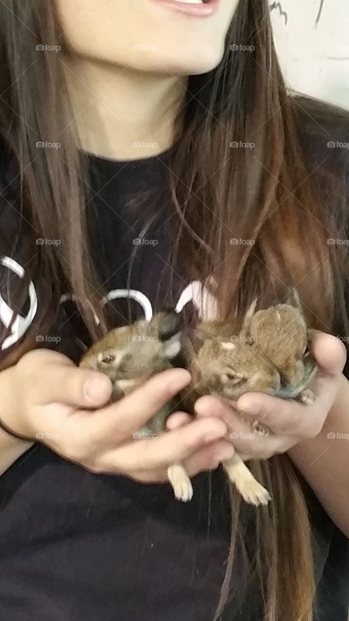 Baby Bunnies. We were moving hay in barn and found bunnies.