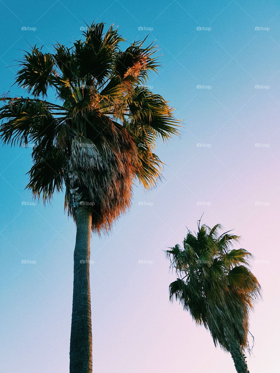 Our big USA road trip for 2018. We travelled nearly 4,000 miles in 22 days and saw 6 states in total.