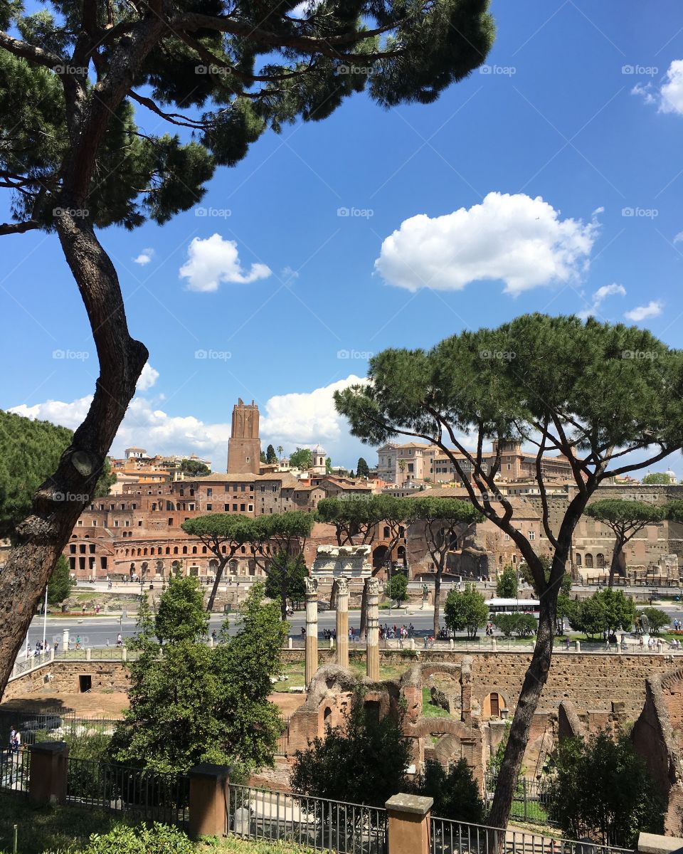 High angle view of rome
