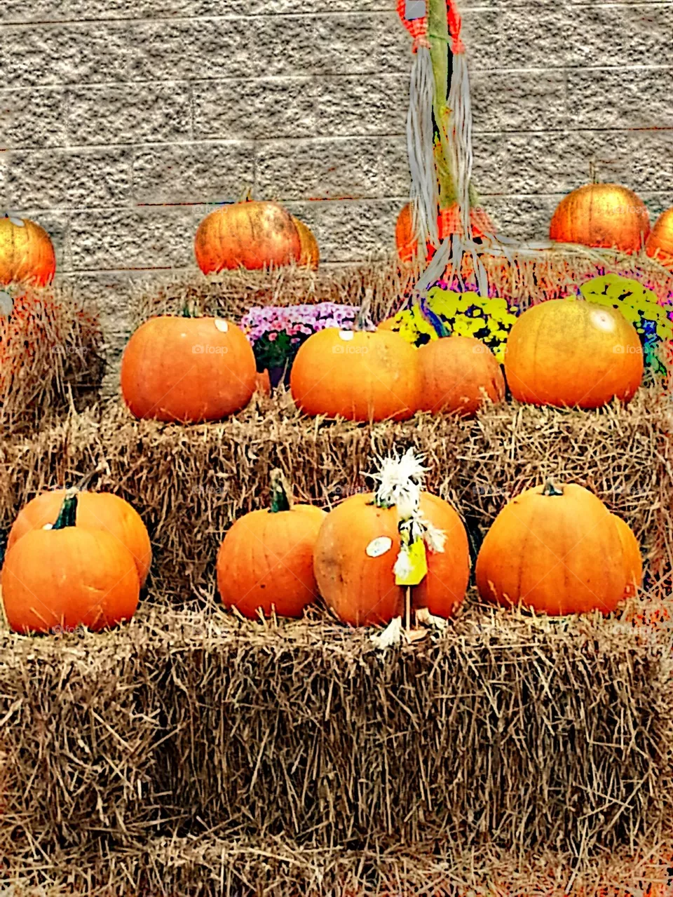 pumpkin pie