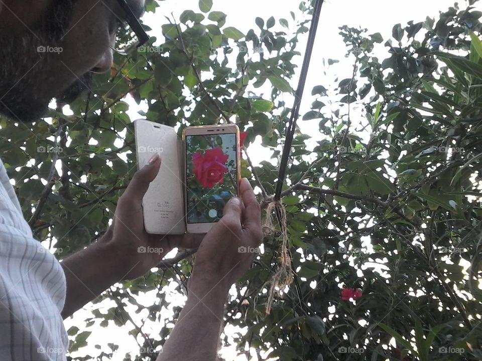 Captured the rose both cameras