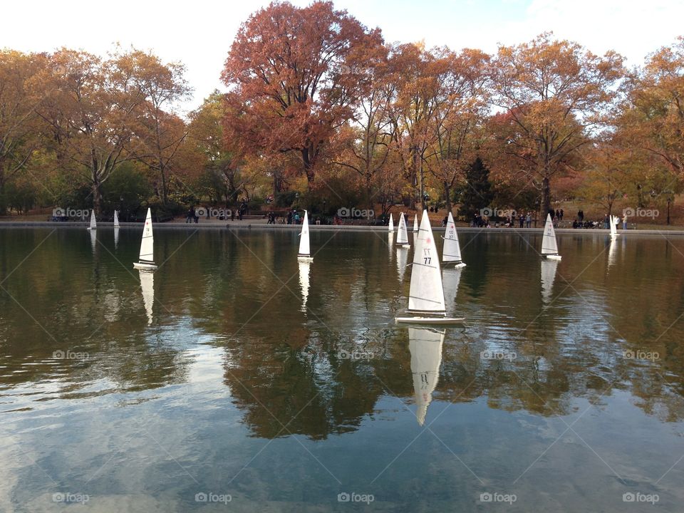 Sailboats at Central Park, New York