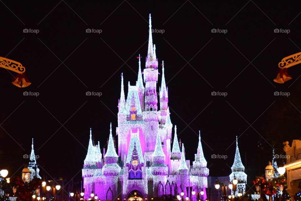 Cinderella's castle 