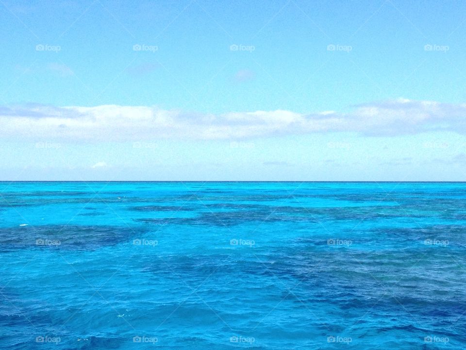 Coral reef sea Blue hues