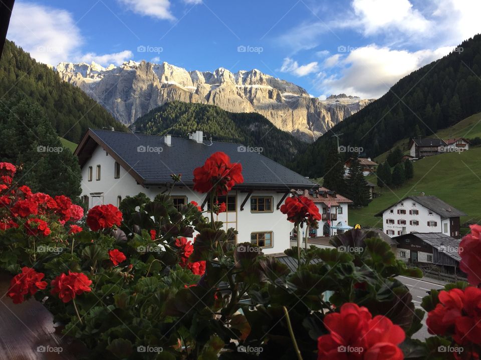 No Person, Travel, Home, Flower, Mountain