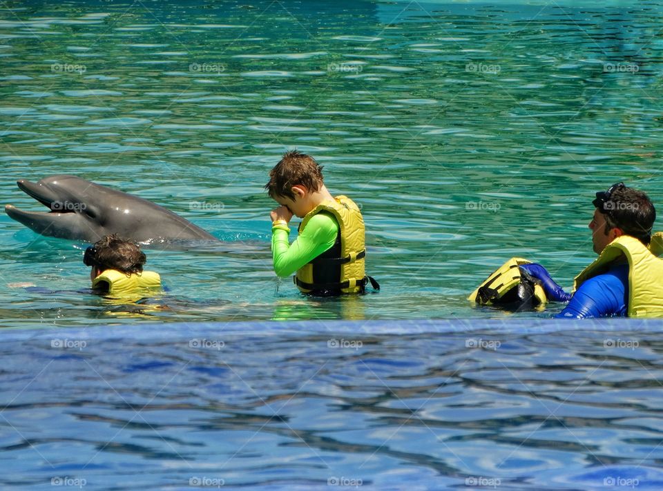 Swimming With Dolphins