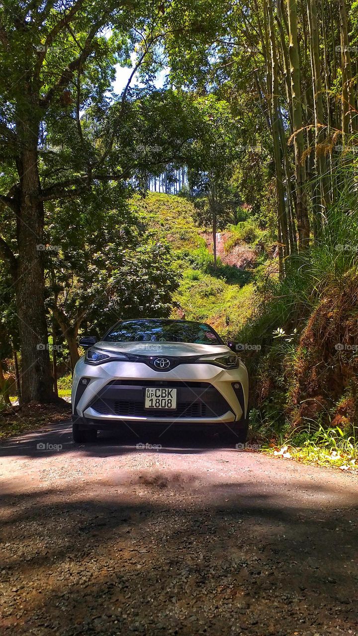 Toyota car - pearl white two tone CH-R car