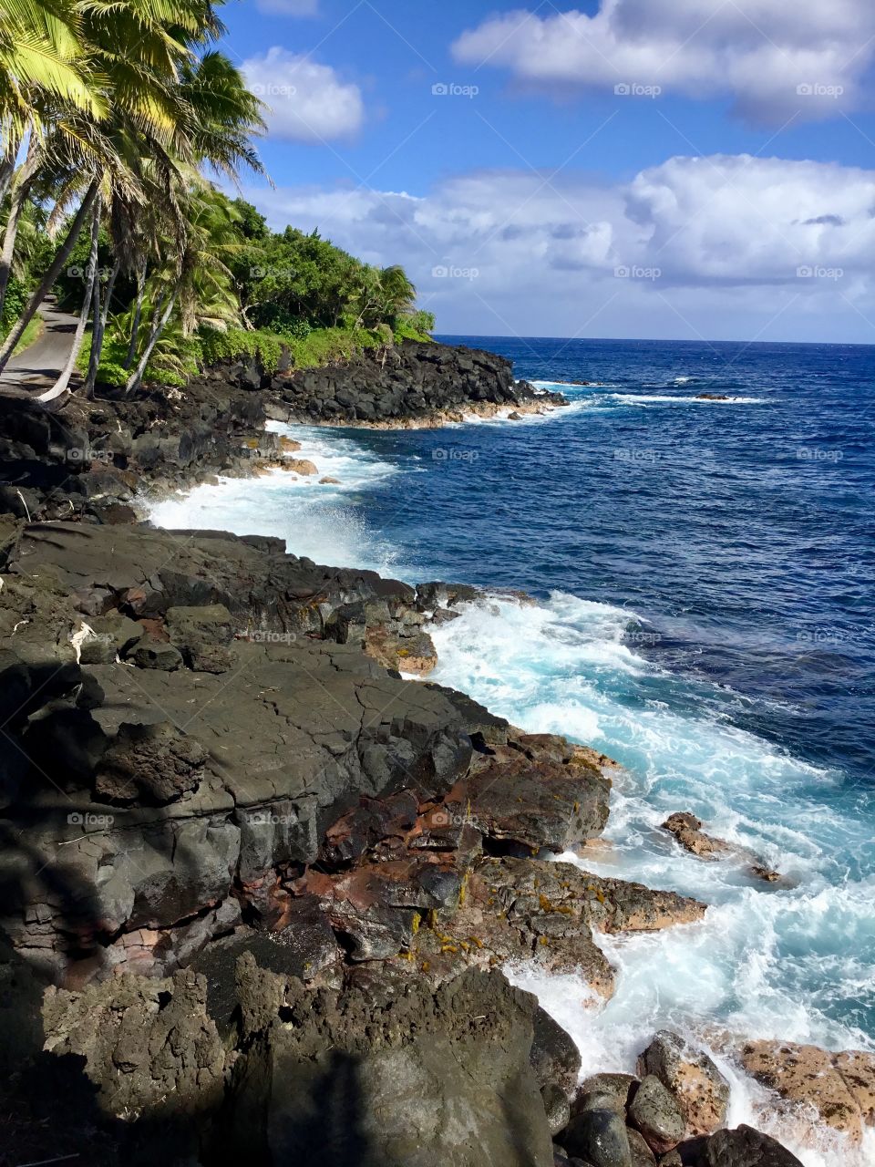 Bright sunny day in Hawaii