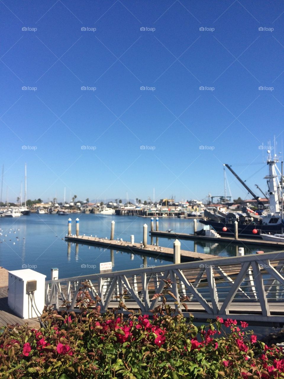 Ventura harbor 