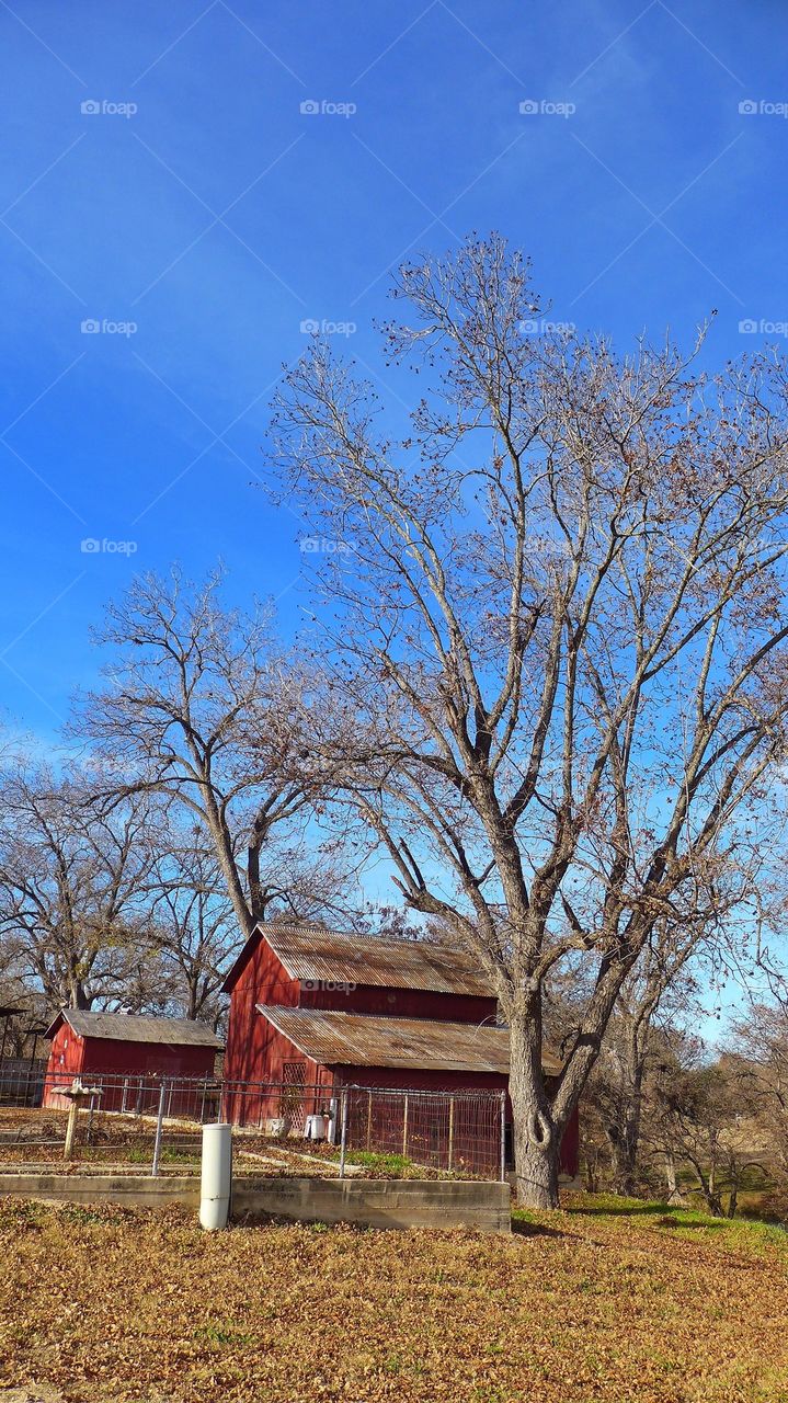 Rural barn in Texas