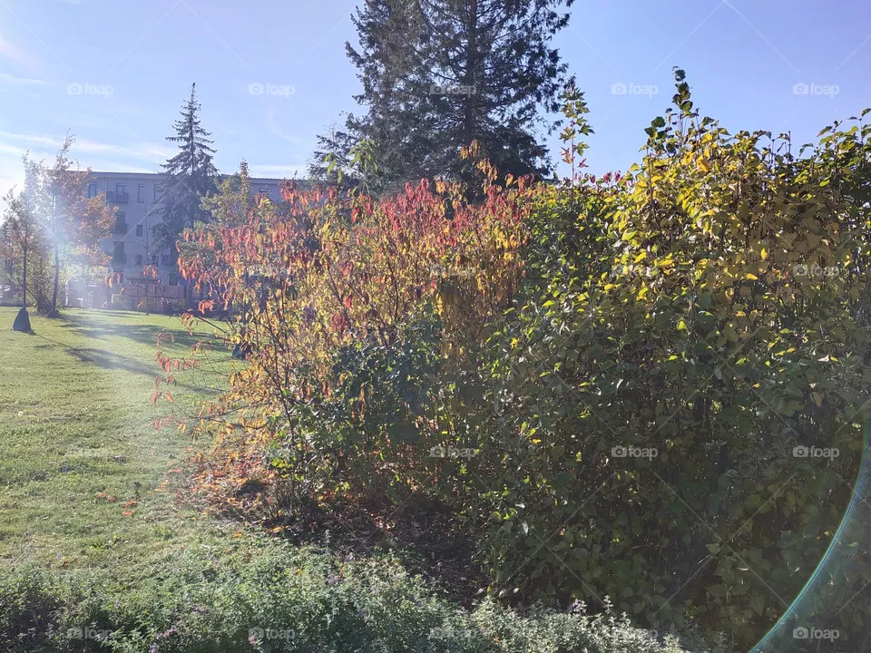 fall in europe