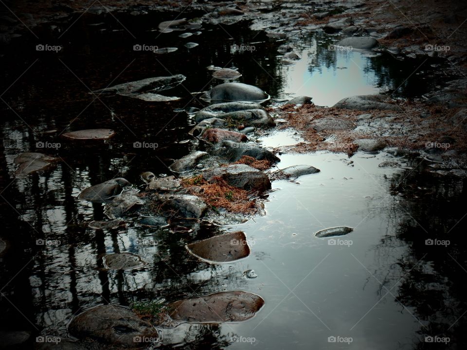 Drummond Island, Michigan 