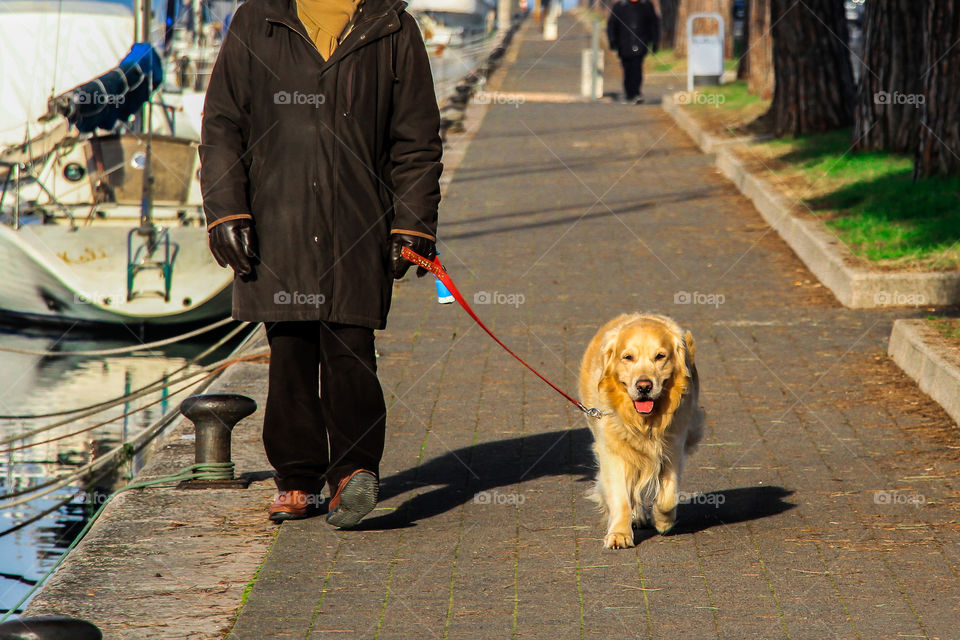 Taking a walk with my dog