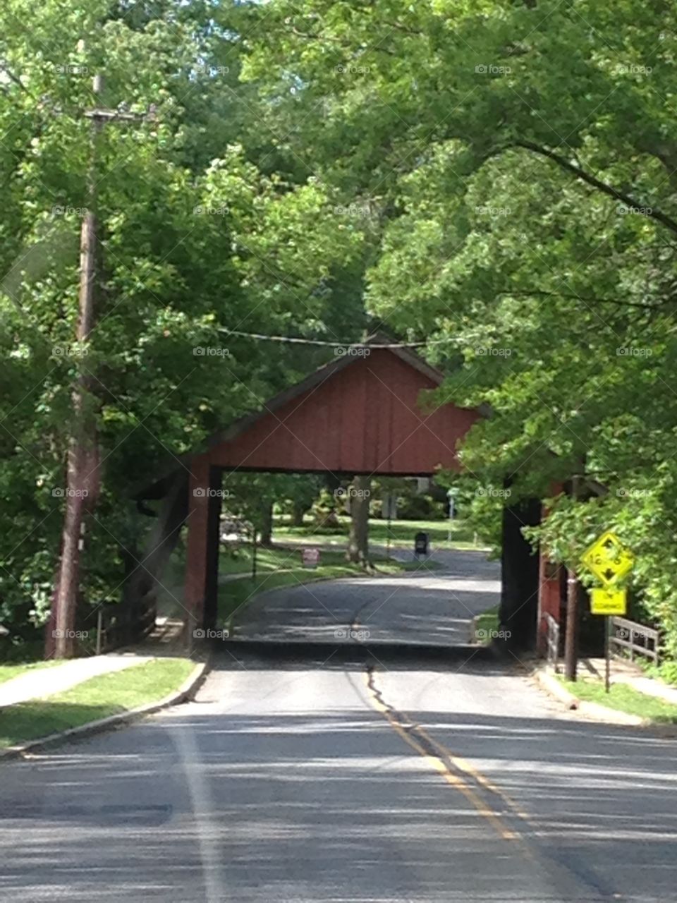 Road, Tree, Wood, Guidance, Environment