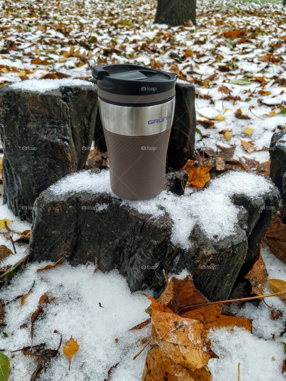 Coffee in the winter forest