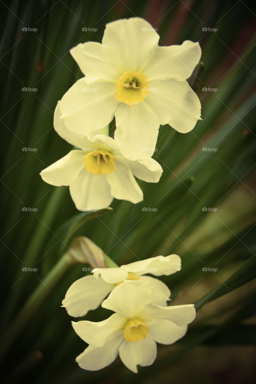 Darryl Wilson. Pictures from the yard