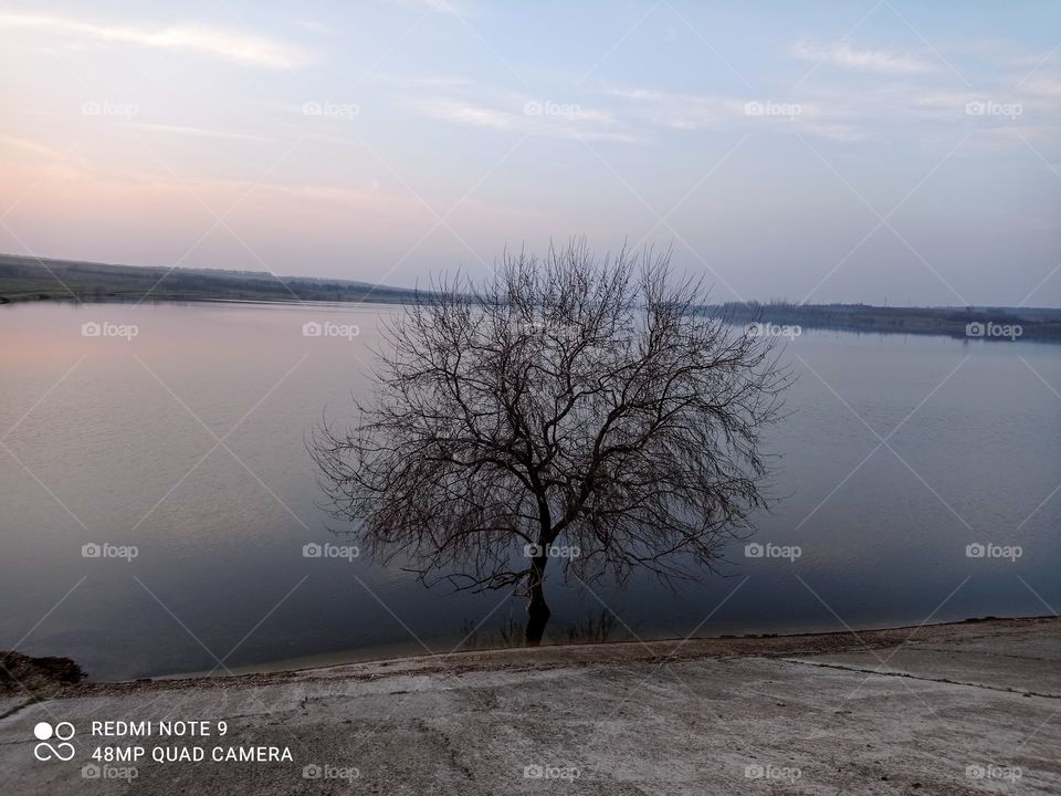 ***Одиночество***