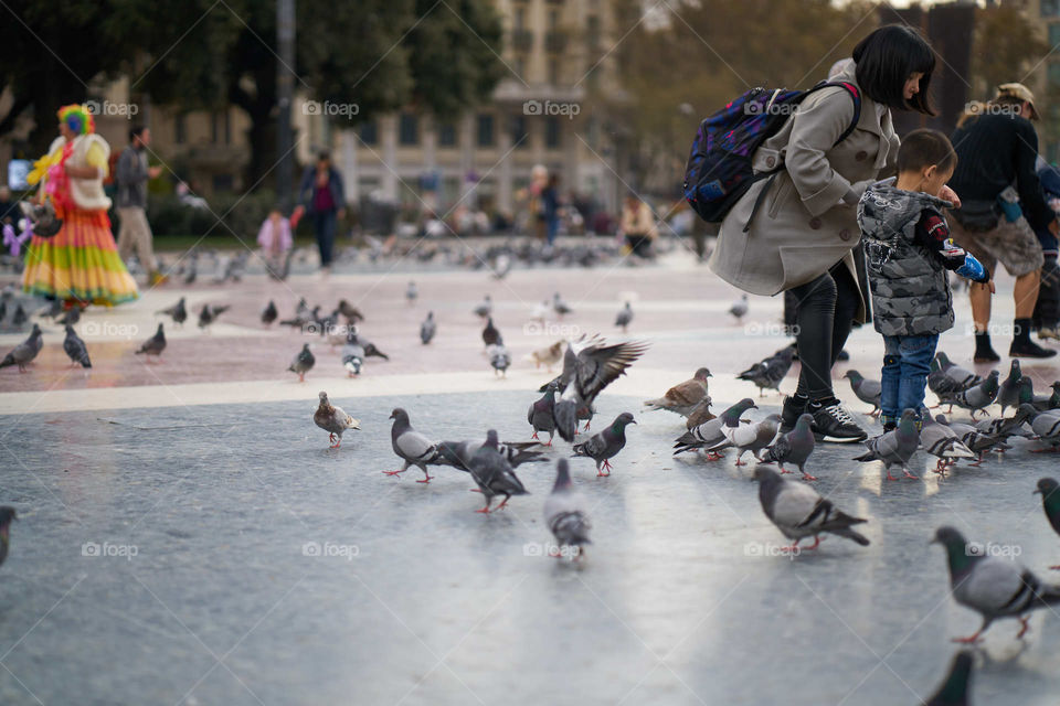 Mother, Son and Pigeons