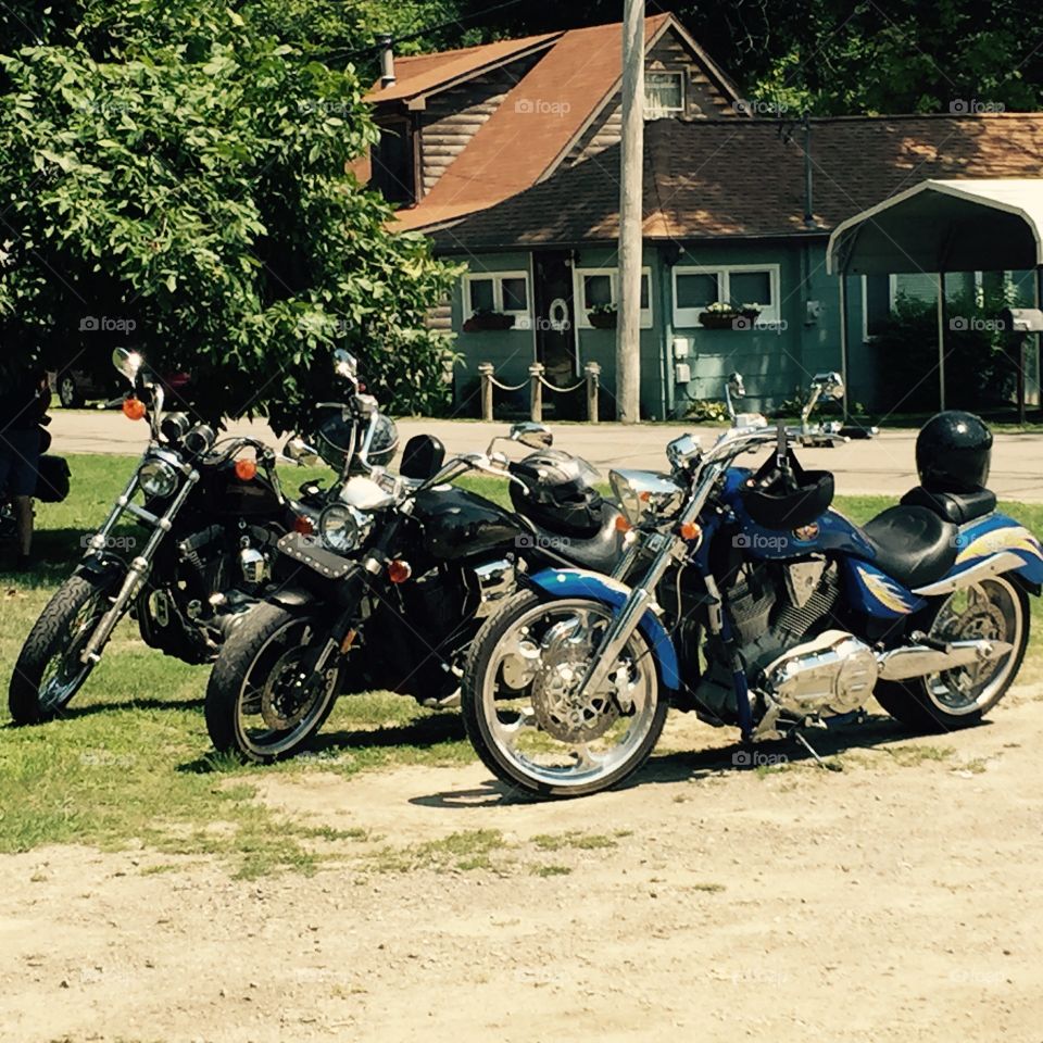 Harleys