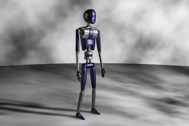 Robot