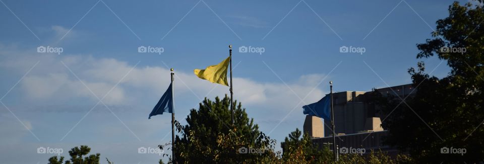 flags