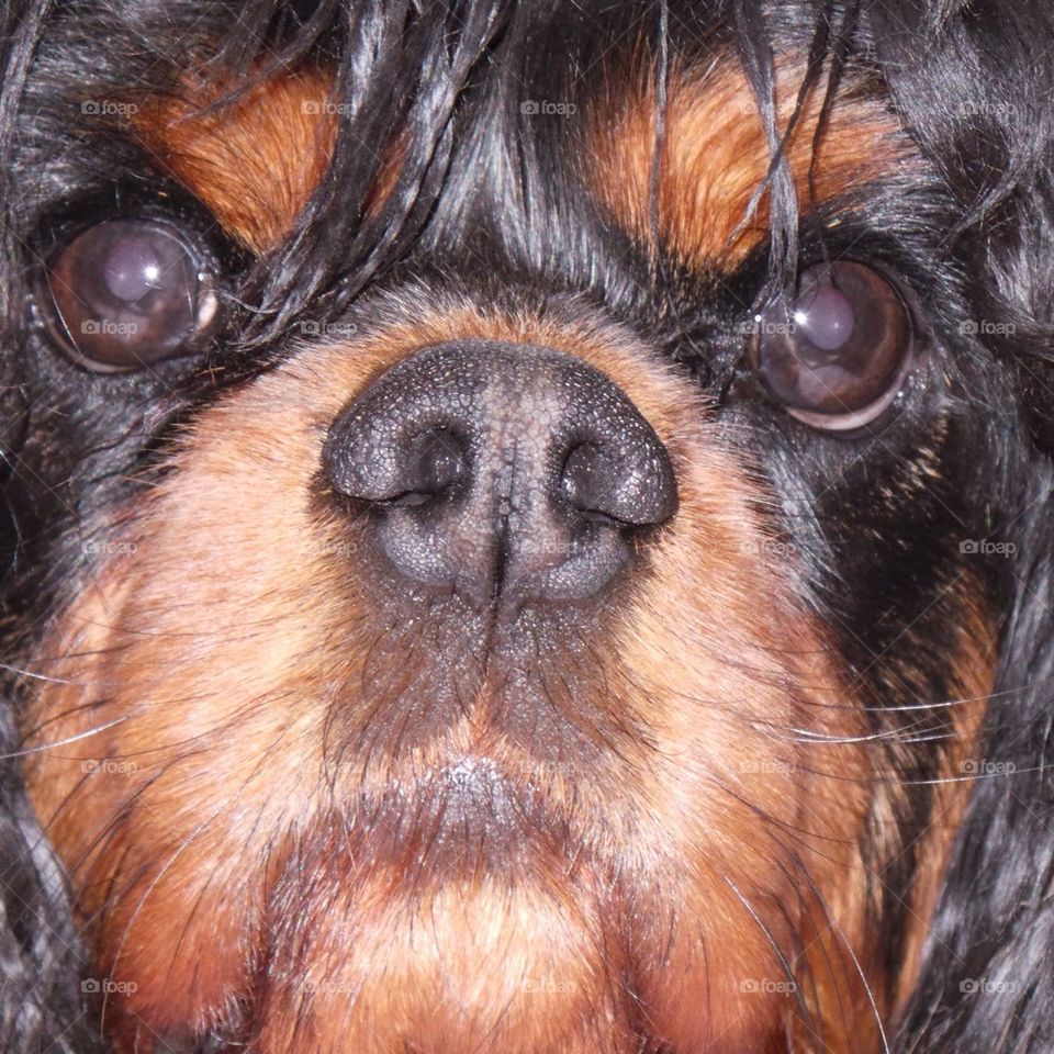 Max's Closeup