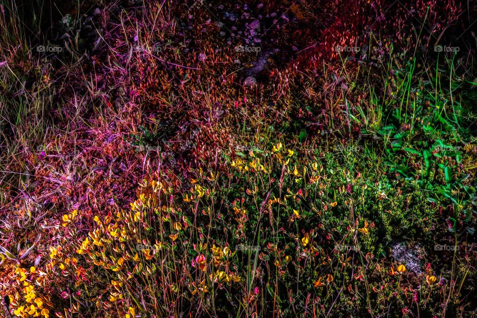 The Dusk Landscape Impression 