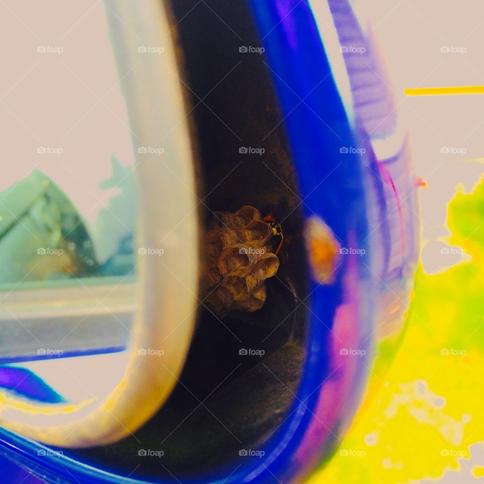 Nesting behind the mirror 