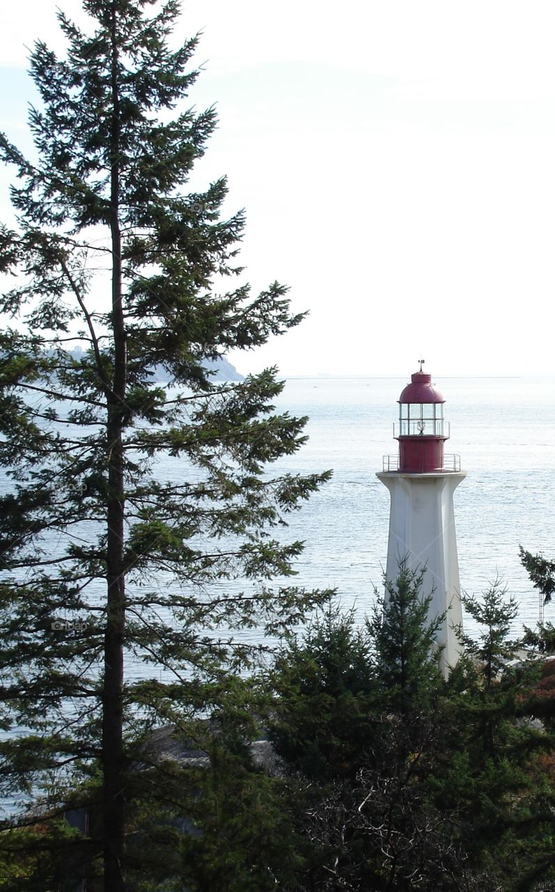 From Lighthouse Park in North Vancouver, British Columbia rests the calm waters of the Pacific Ocean as it reflects the rays of the sun.