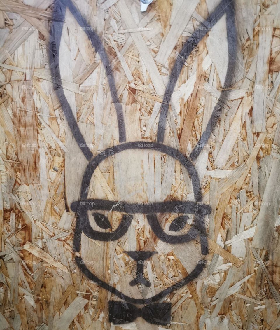 Dyi craft home made handmade design decor decoration view day part details capture life Light reys wild nature outdoor outside street building old history memory summer time