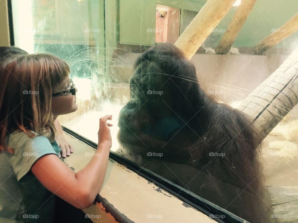 Orangutan and girl