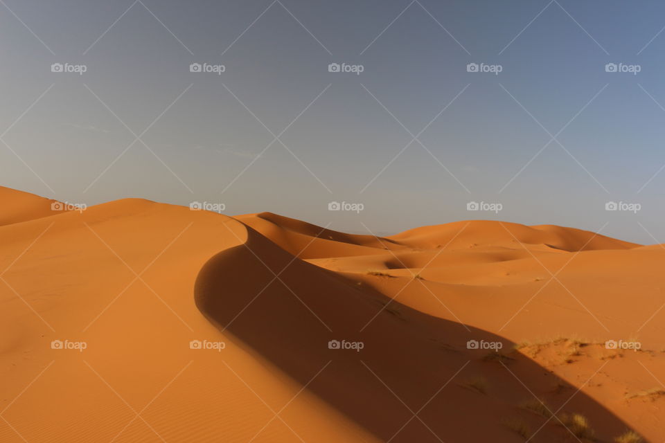 Shadow in sahara desert