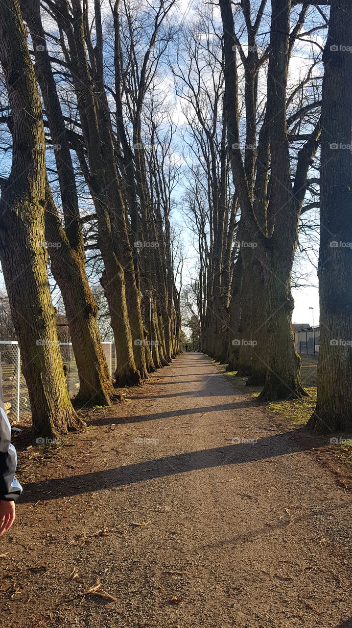 Bjølsen park in Oslo Norway