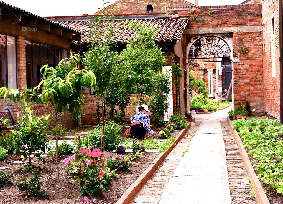 Venezianischer Garten 