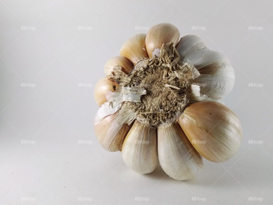 raw organic ingredient.  garlic