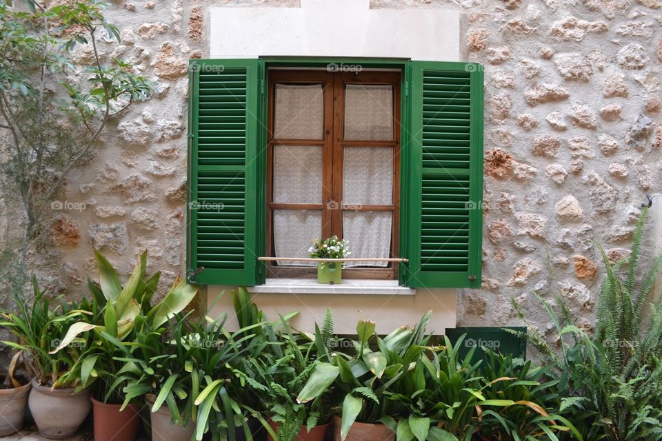 Green european village