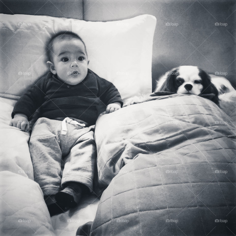 the boy and the dog . Little boy watching tv on the bed with his little dog