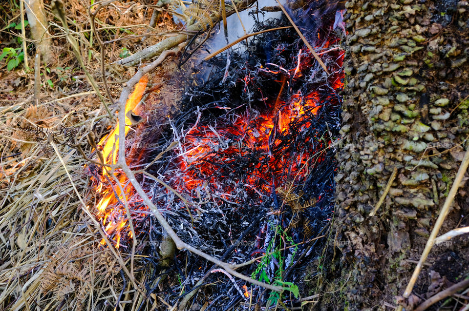 Fire on field plants