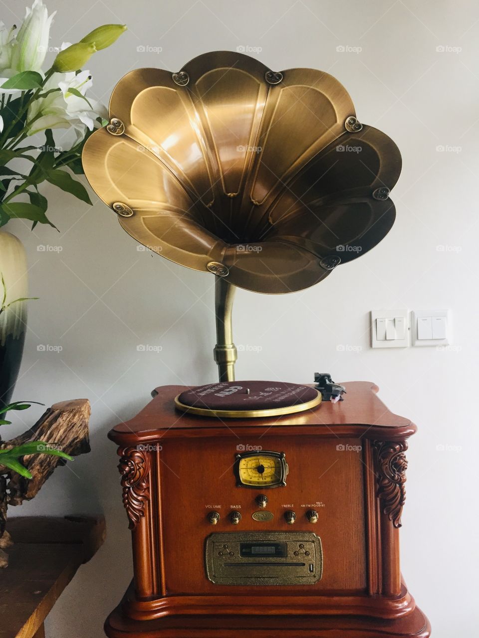 Flower gramophone! Yes , Old is gold !