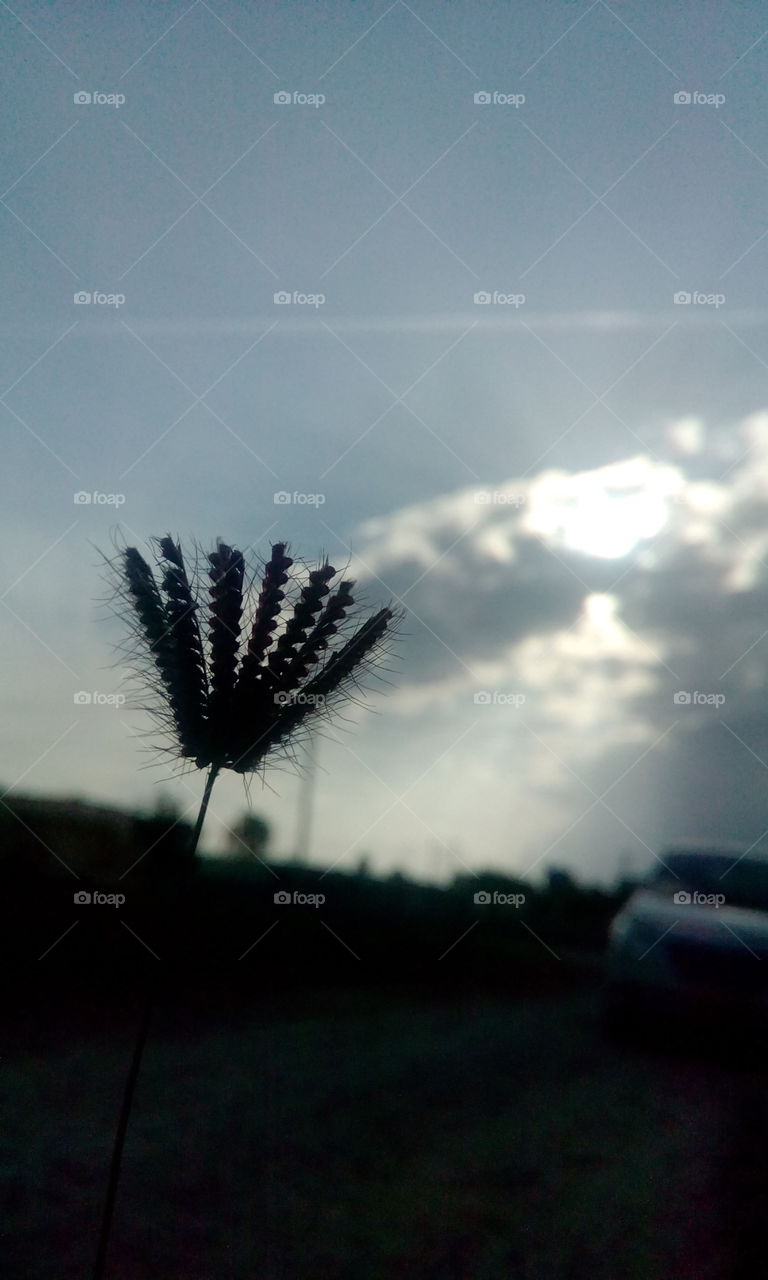 Learning to click📷