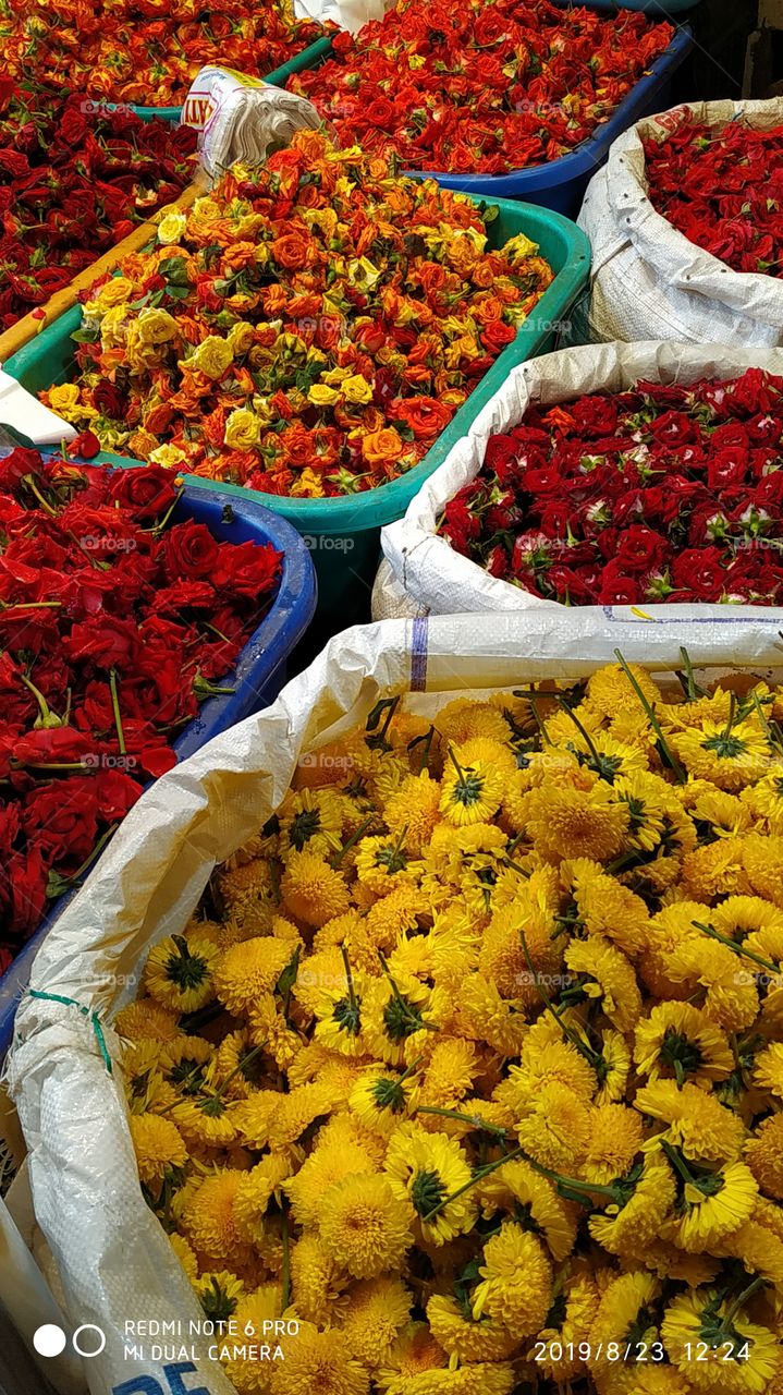 flowers markets
